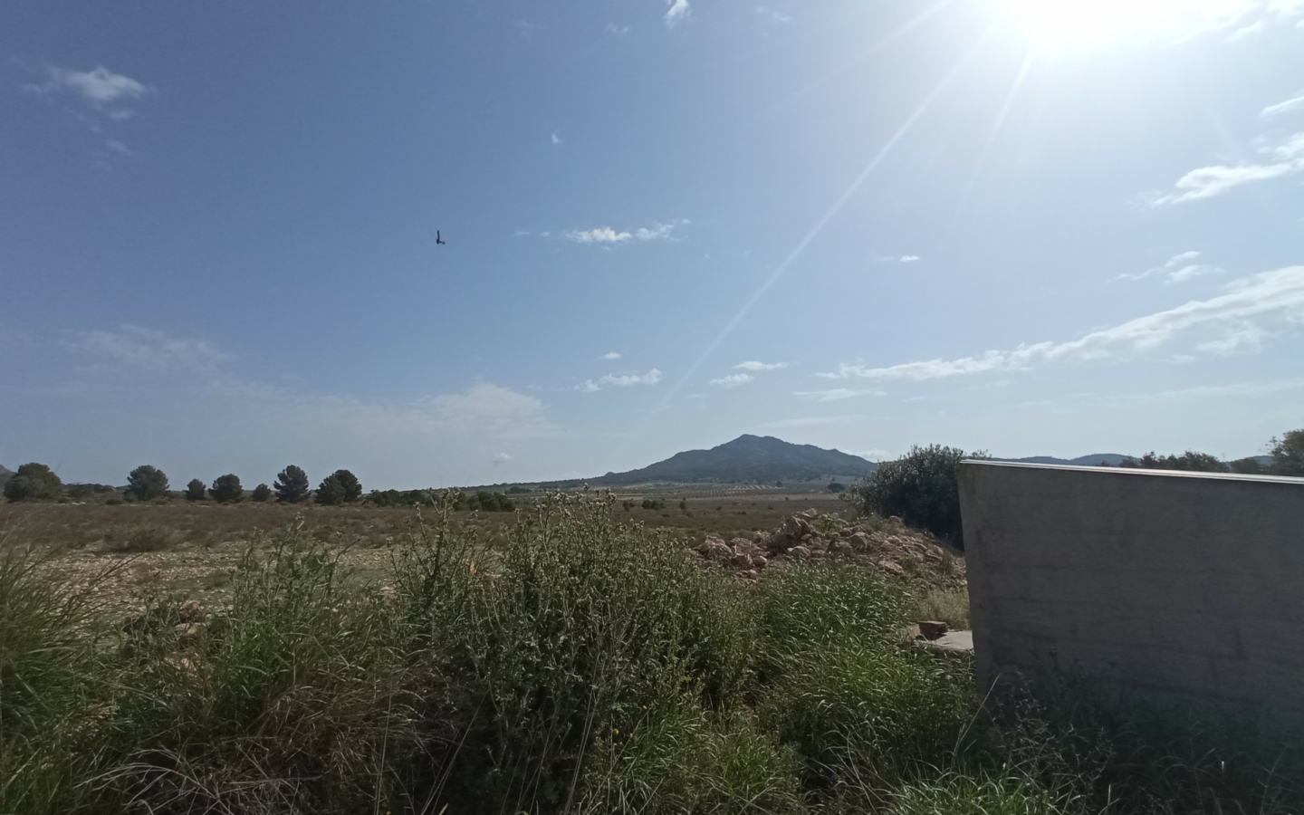 Land In Salinas, Spain (24.596 M² Plot)