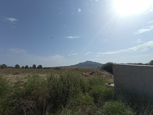 Land In Salinas, Spain (24.596 M² Plot)