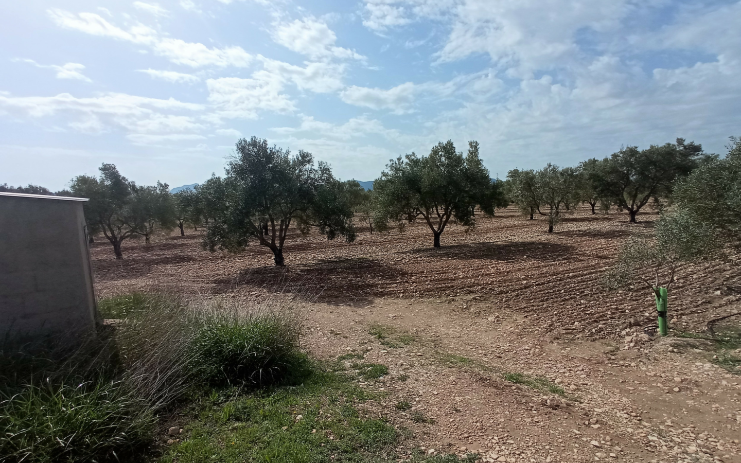 Land In Salinas, Spain (24.596 M² Plot)
