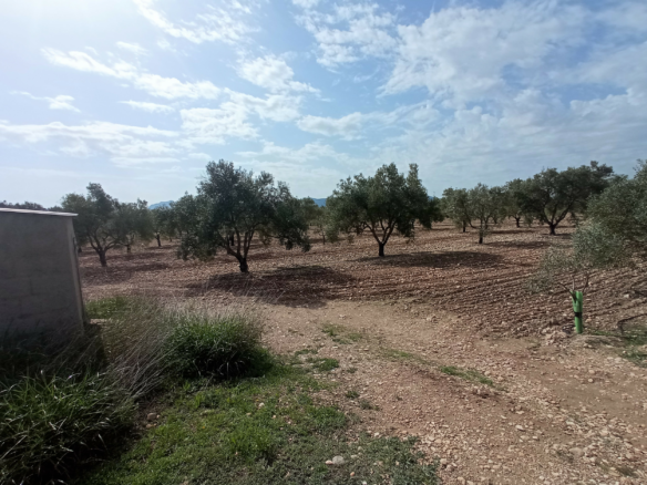Land In Salinas, Spain (24.596 M² Plot)