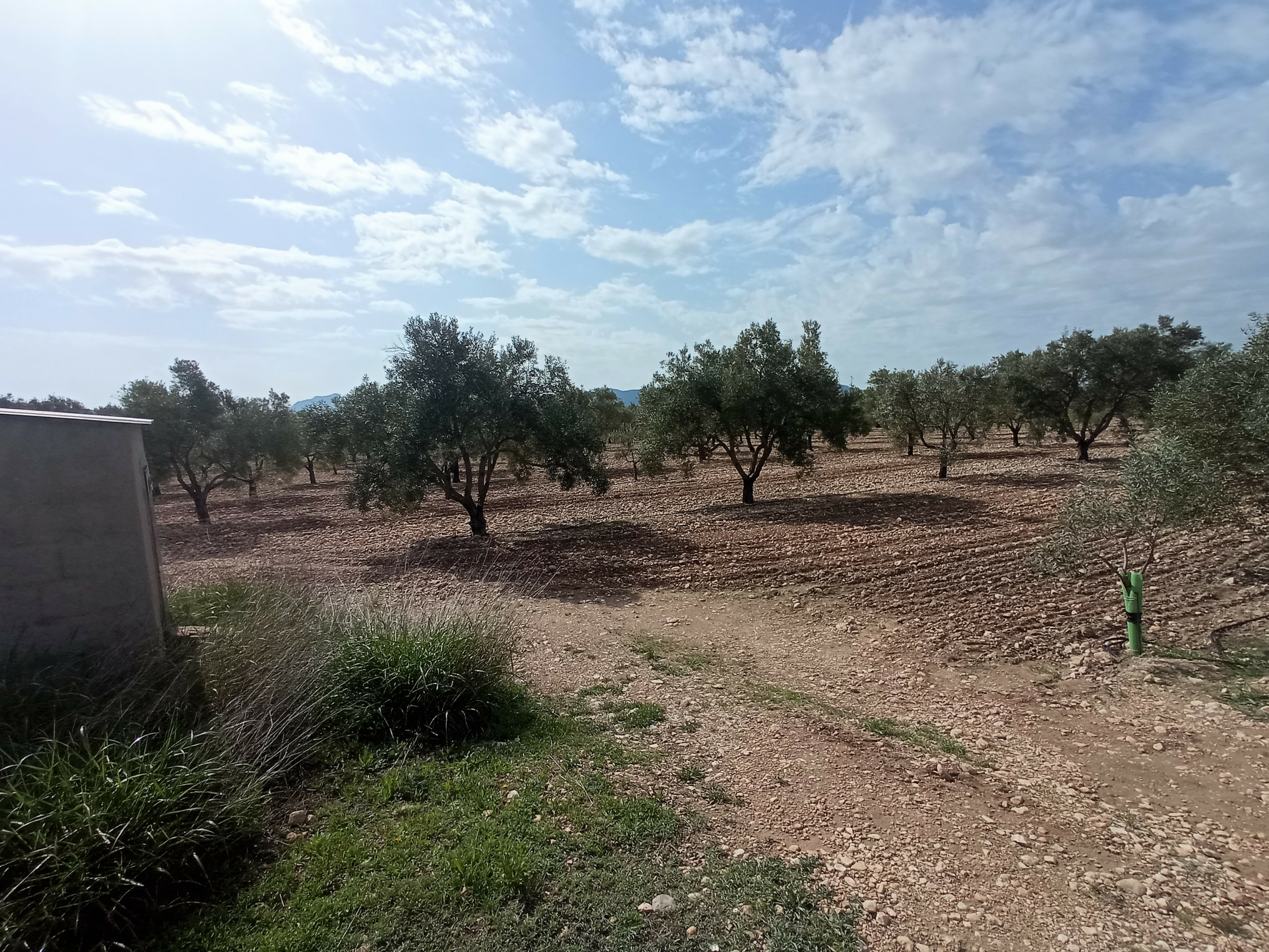 property_attachment_1m9okdaerr_20260313080521-d21f0c Land In Salinas, Spain (24.596 M² Plot)