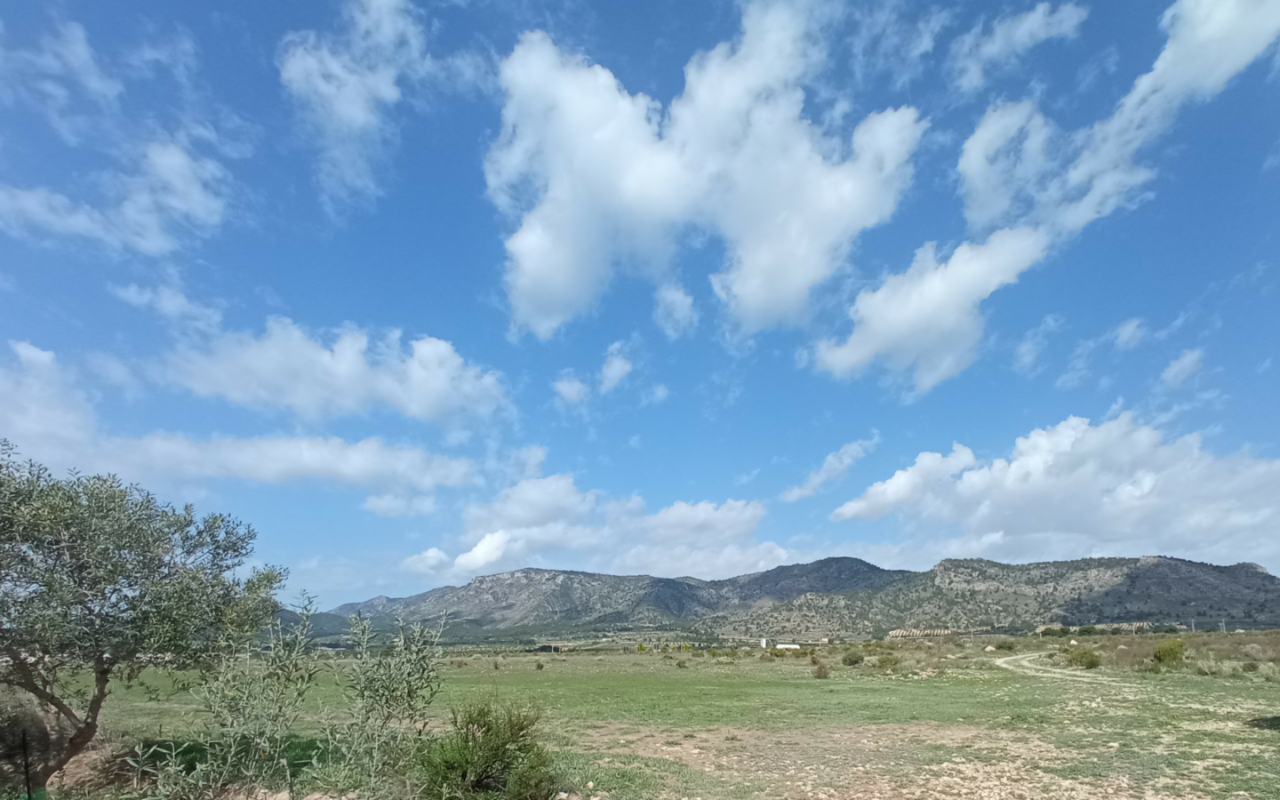 Land In Salinas, Spain (24.596 M² Plot)