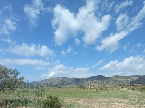 Land In Salinas, Spain (24.596 M² Plot)