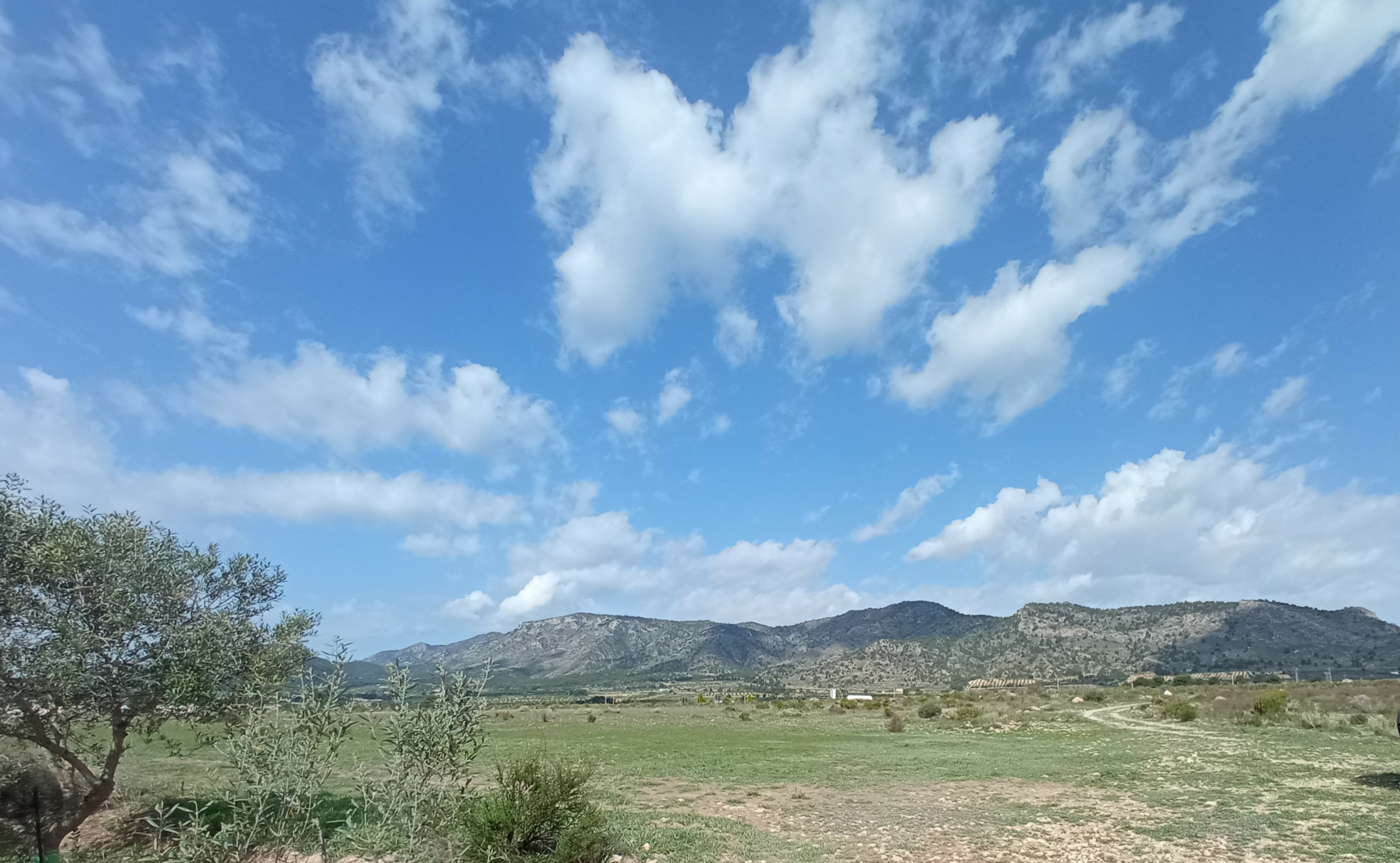property_attachment_1wccrlylxf_20260313080519-b996e8 Land In Salinas, Spain (24.596 M² Plot)