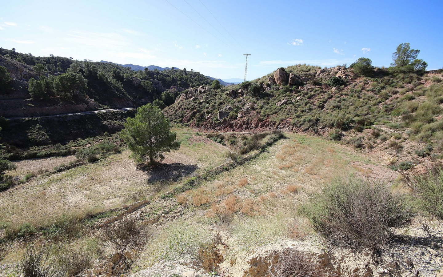 Land In Abanilla, Spain (8.000 M² Plot)