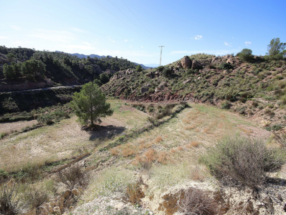 Land In Abanilla, Spain (8.000 M² Plot)