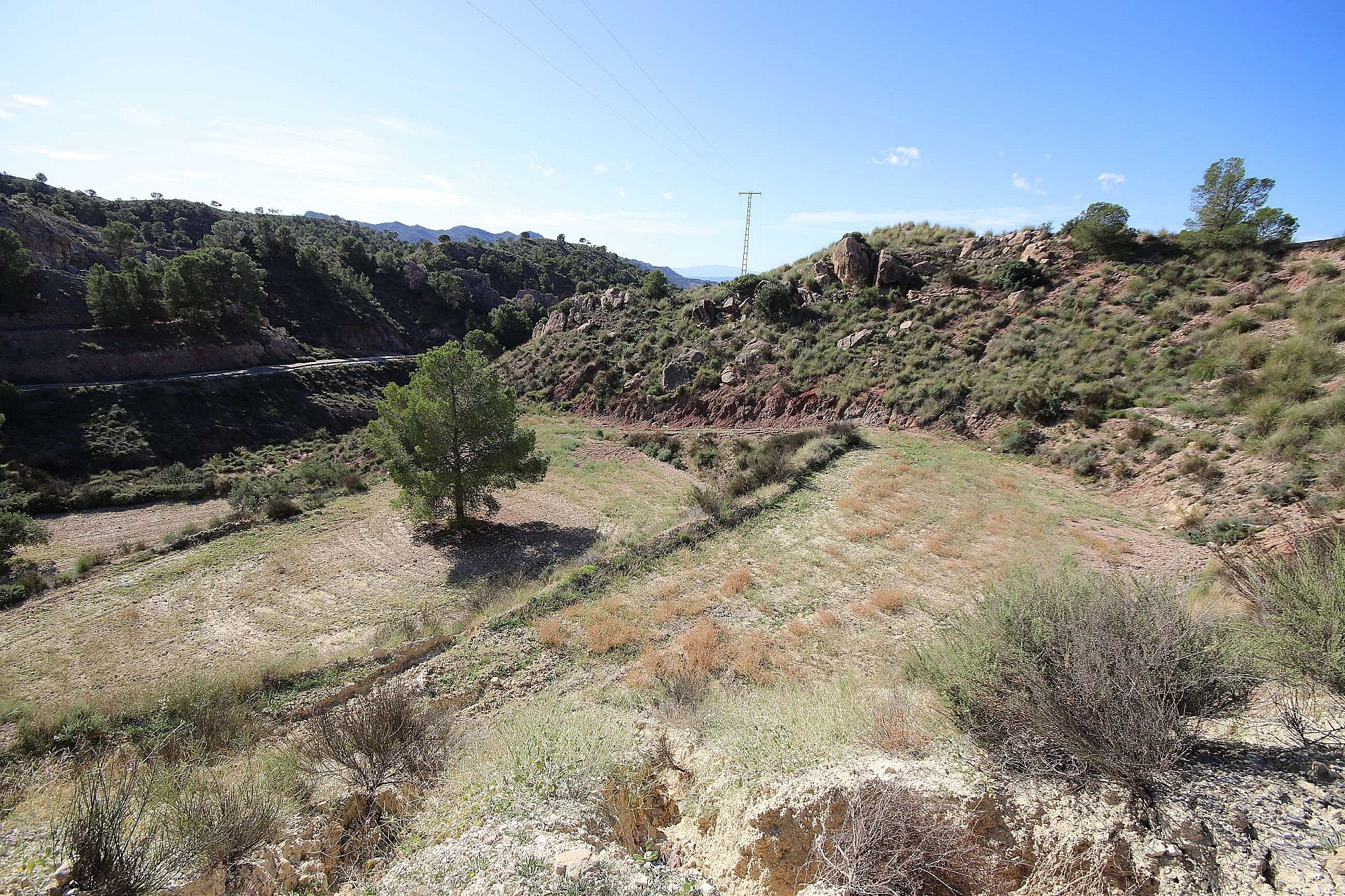 w_03rcmvyvfkdbqmscwv6k-baec06 Land In Abanilla, Spain (8.000 M² Plot)