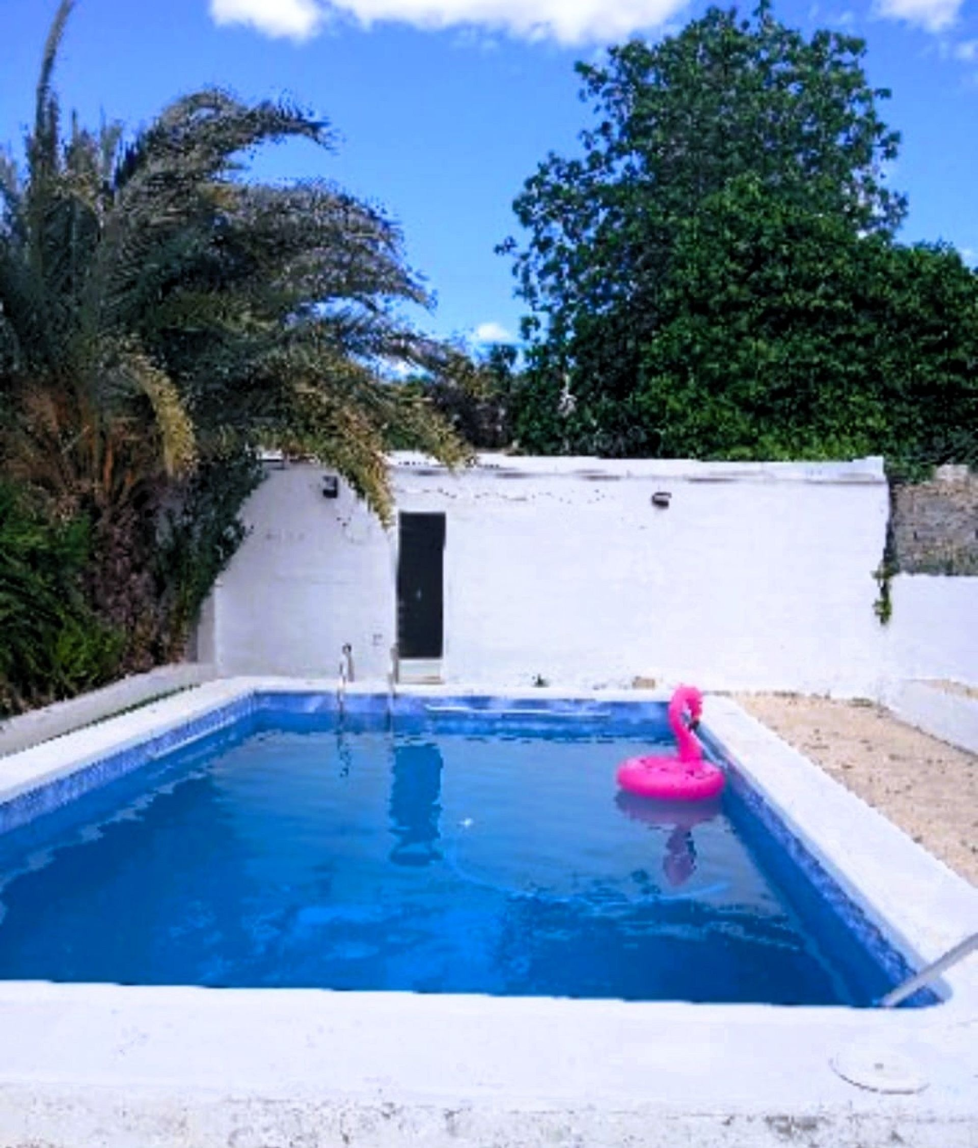 5-bedroom Detached Villa In Elche, Spain (376 M²)
