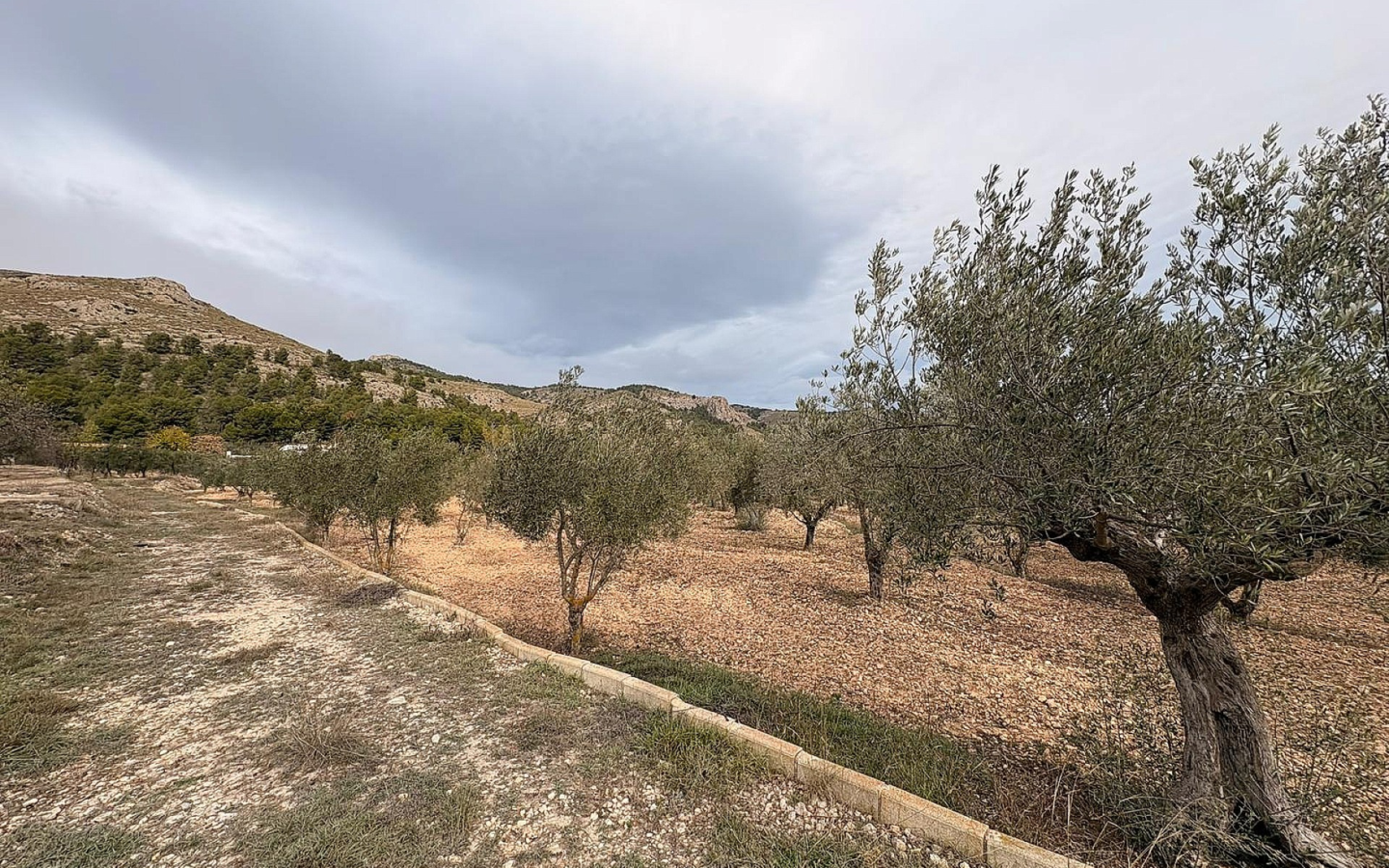 Land In Onil, Spain (8.700 M² Plot)