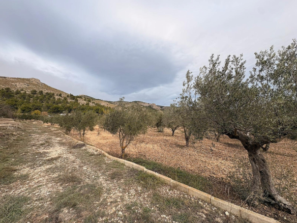 Land In Onil, Spain (8.700 M² Plot)