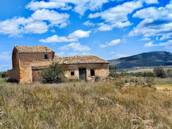 Land In Pinoso, Spain (10.000 M² Plot)