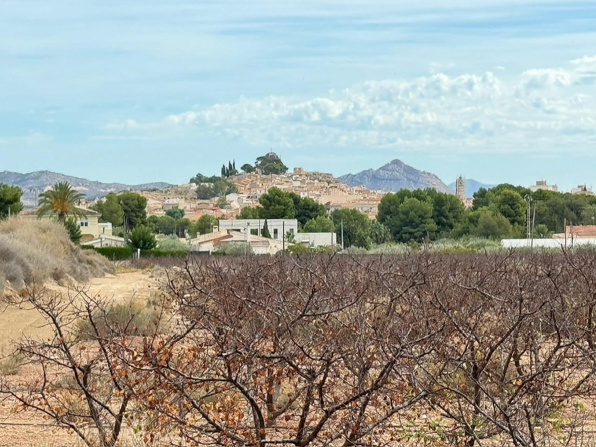 Land In Monovar, Spain (11.000 M² Plot)