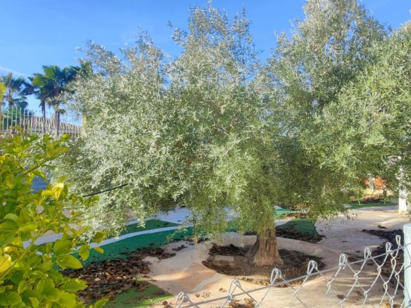 6-bedroom Detached Villa In Aspe, Spain (468 M²)