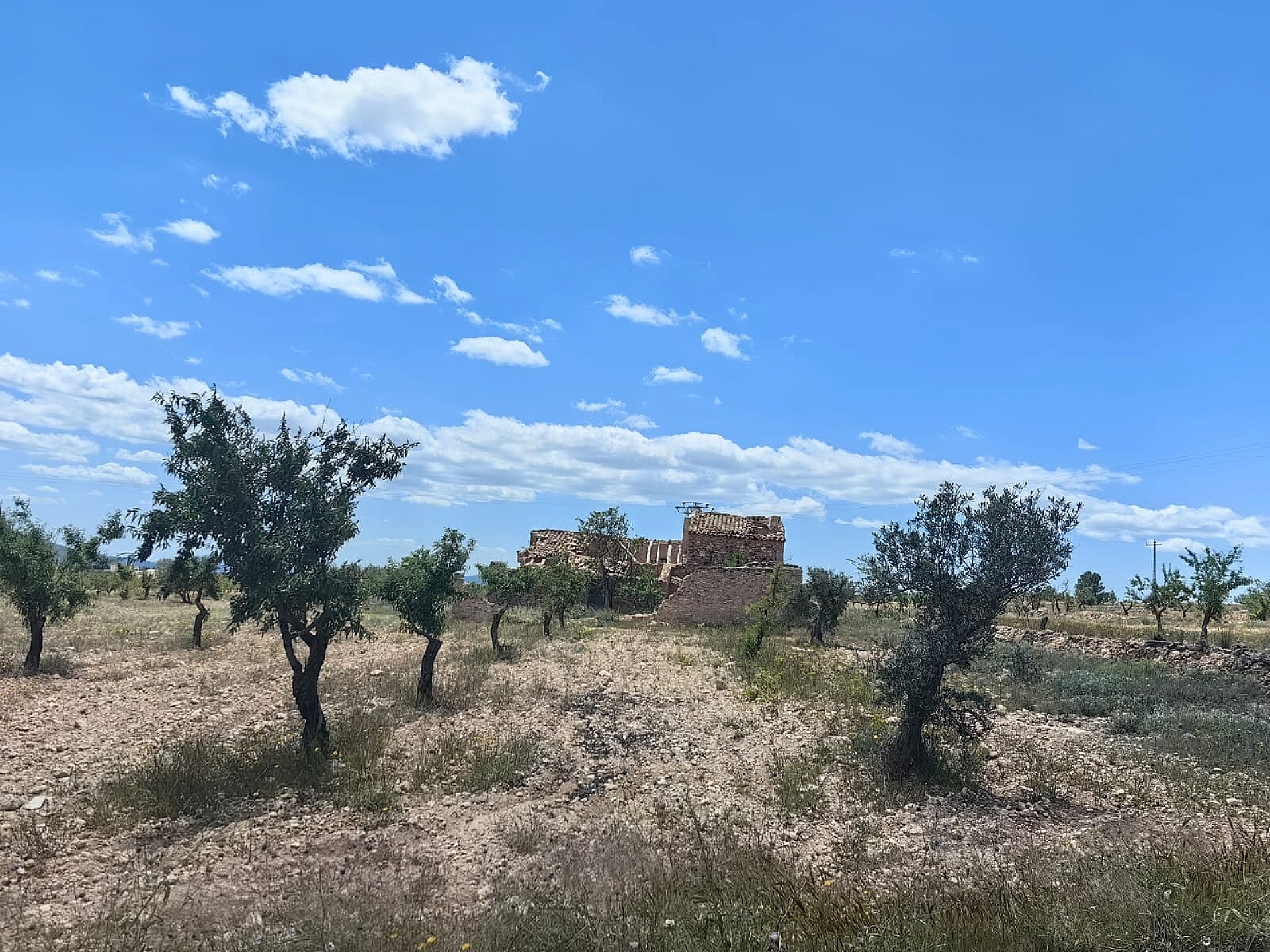 Land In Pinoso, Spain (10.000 M² Plot)