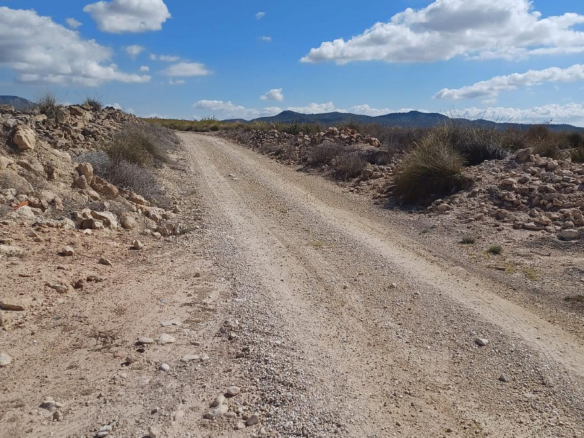 Land In Pinoso, Spain (13.836 M² Plot)