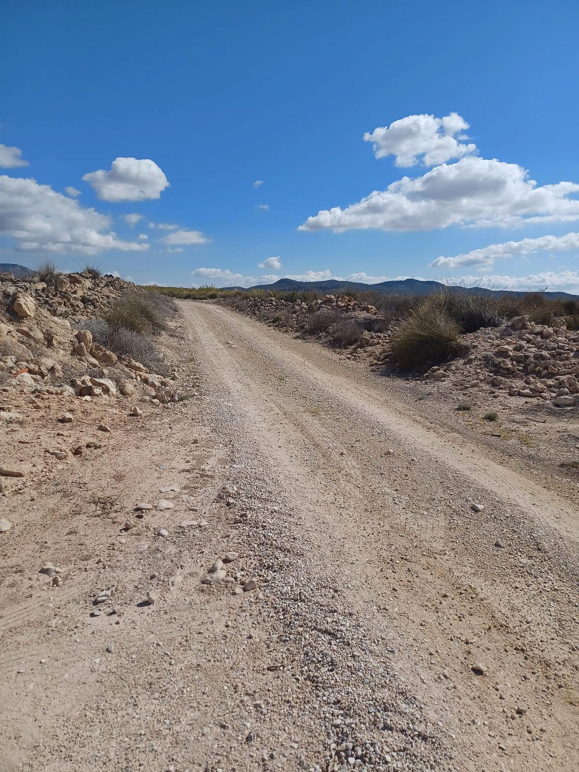 w_3a2xa8z6vq0xkyaq7845-8b1052 Land In Pinoso, Spain (13.836 M² Plot)