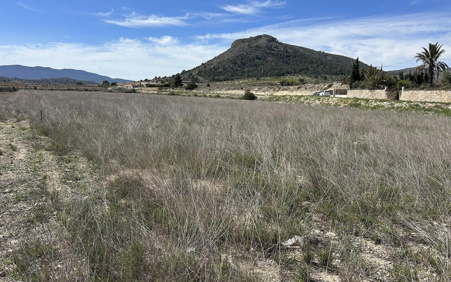 Land In Hondón De Las Nieves, Spain (15.279 M² Plot)
