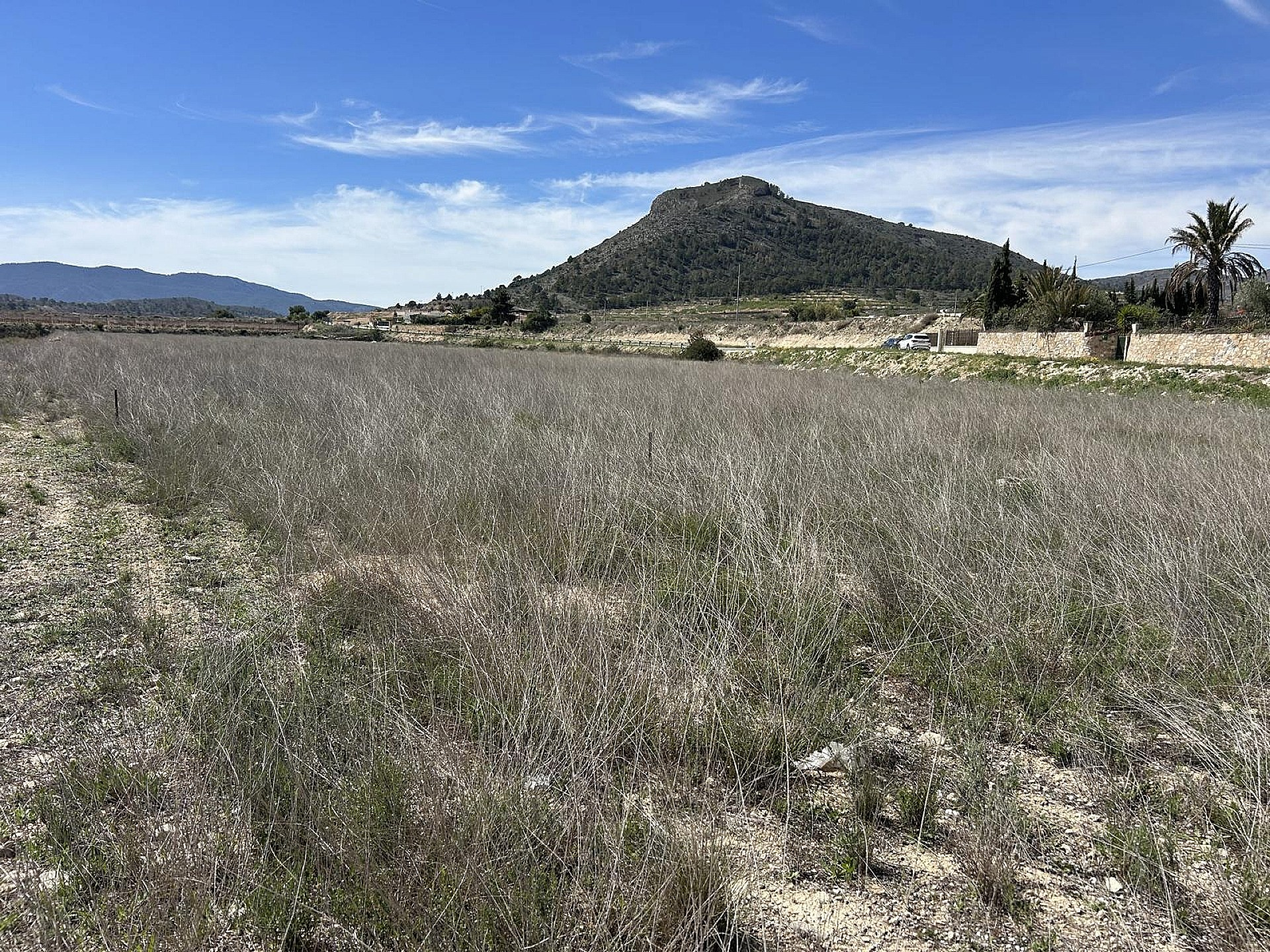 Land In Hondón De Las Nieves, Spain (15.279 M² Plot)