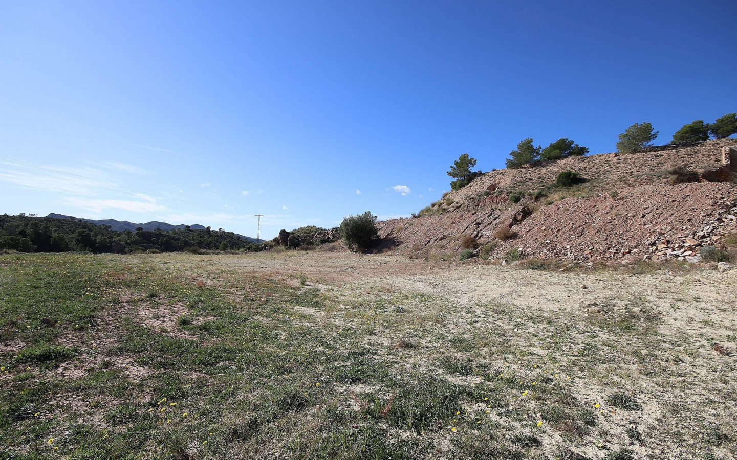 Land In Abanilla, Spain (8.000 M² Plot)