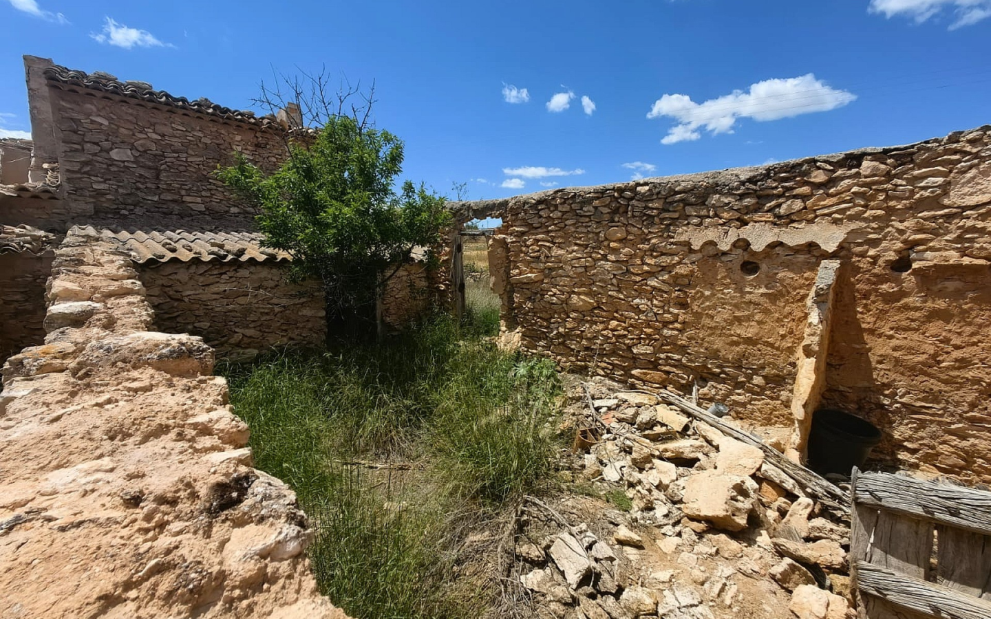 Land In Pinoso, Spain (10.000 M² Plot)