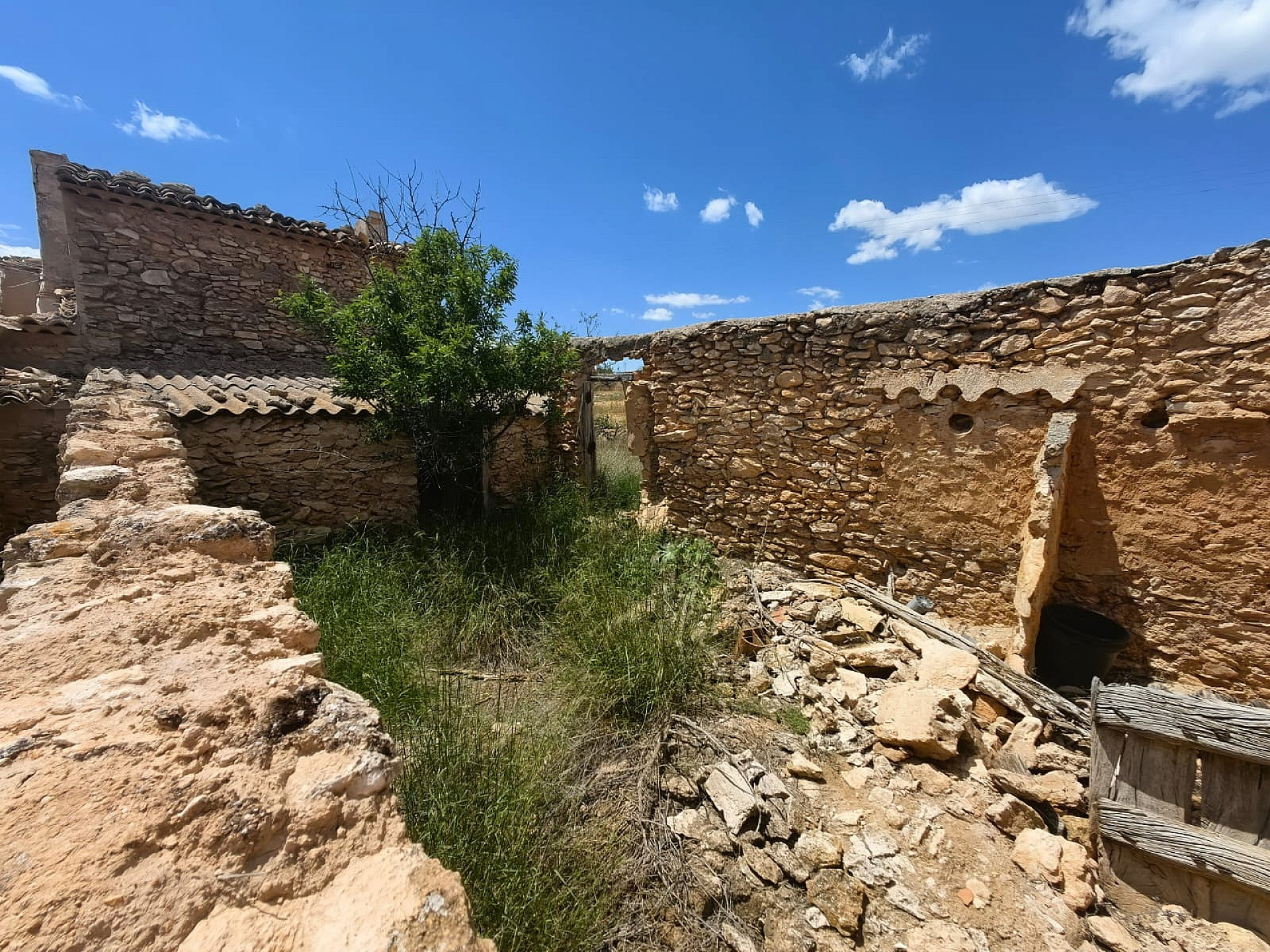 Land In Pinoso, Spain (10.000 M² Plot)
