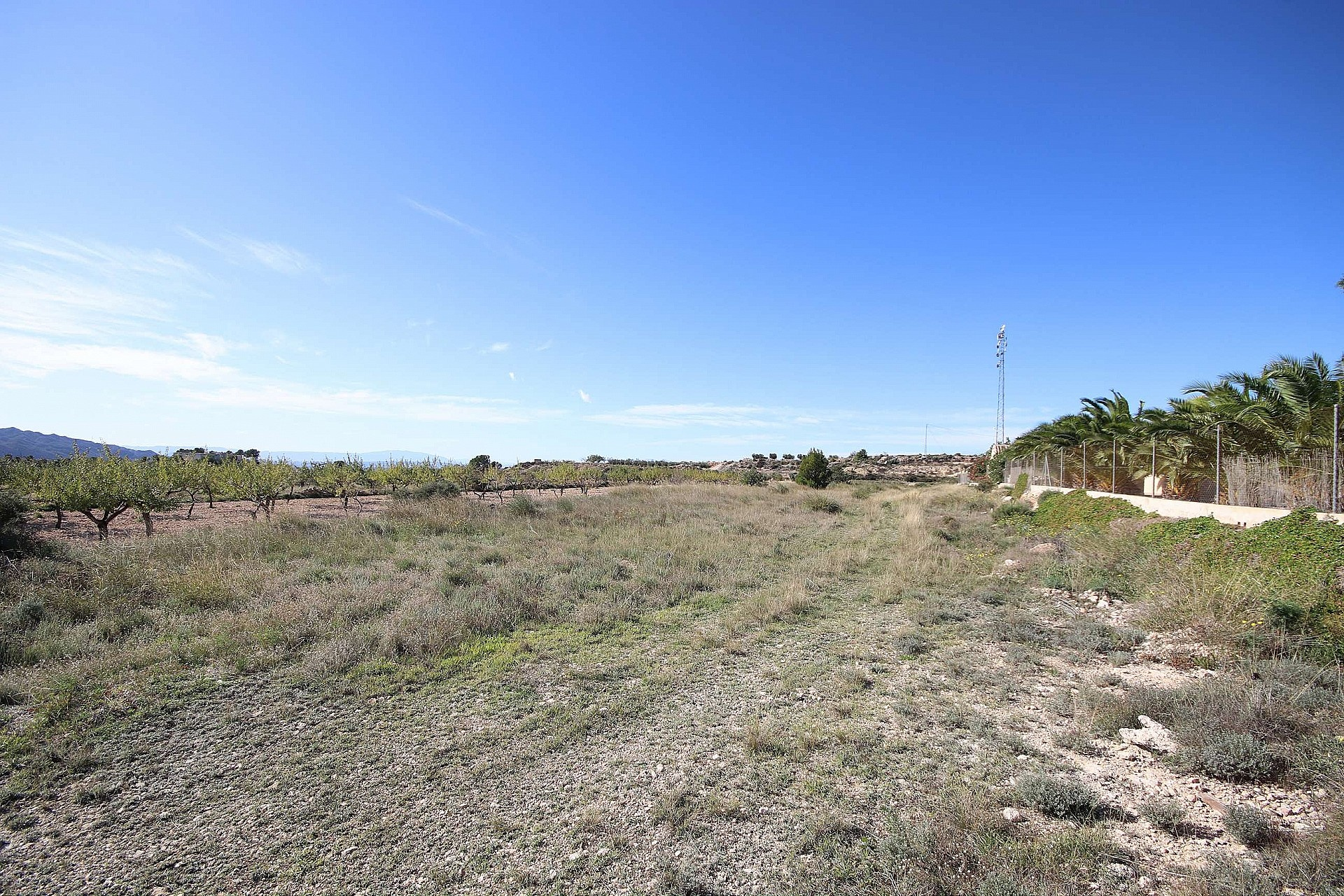 Land In Macisvenda, Spain (5.871 M² Plot)