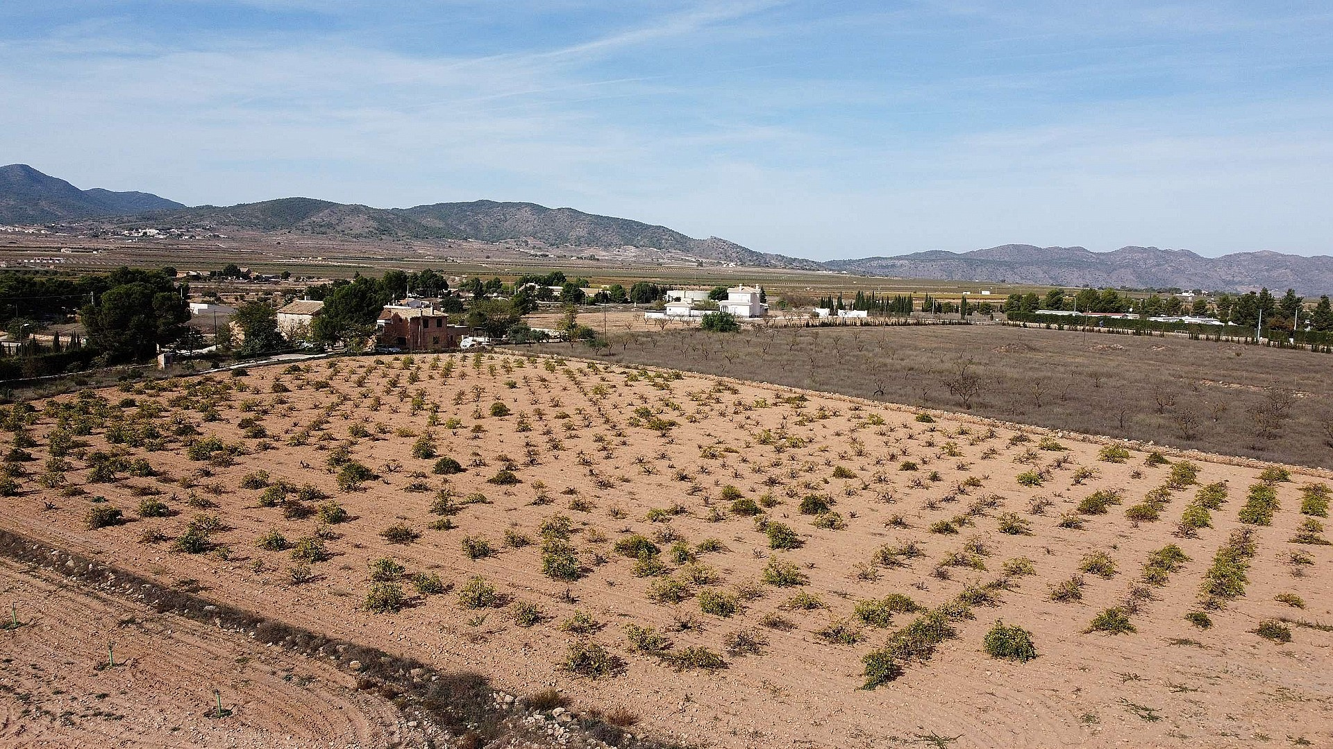 w_52i0do4iq0zqkhgh5fn4-42bbc4 Land In Pinoso, Spain (10.000 M² Plot)