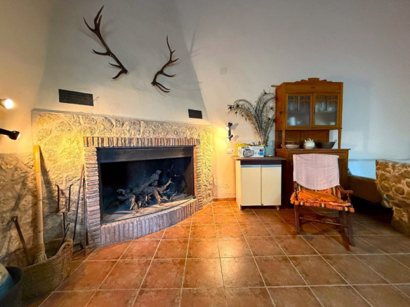 12-bedroom Country House In Pinoso, Spain (600 M²)