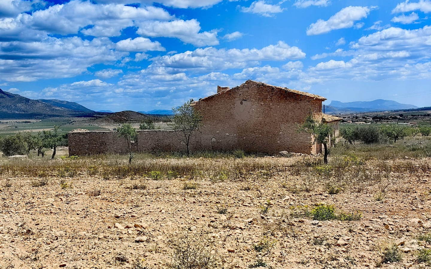 Land In Pinoso, Spain (10.000 M² Plot)