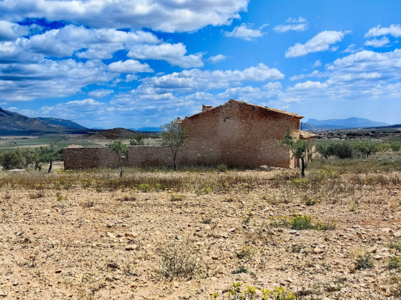 Land In Pinoso, Spain (10.000 M² Plot)
