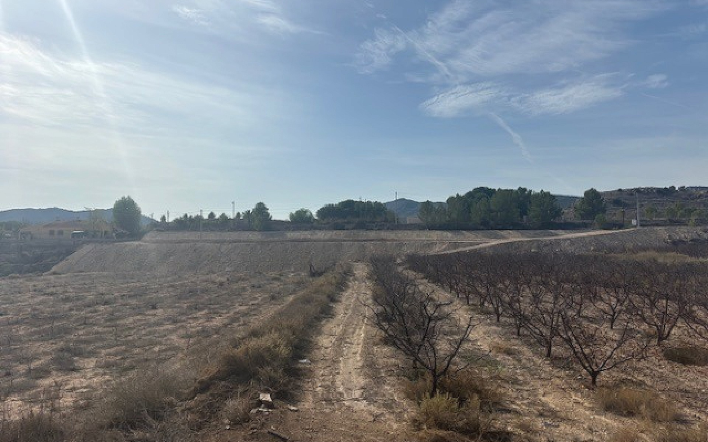Land In Monovar, Spain (25.000 M² Plot)