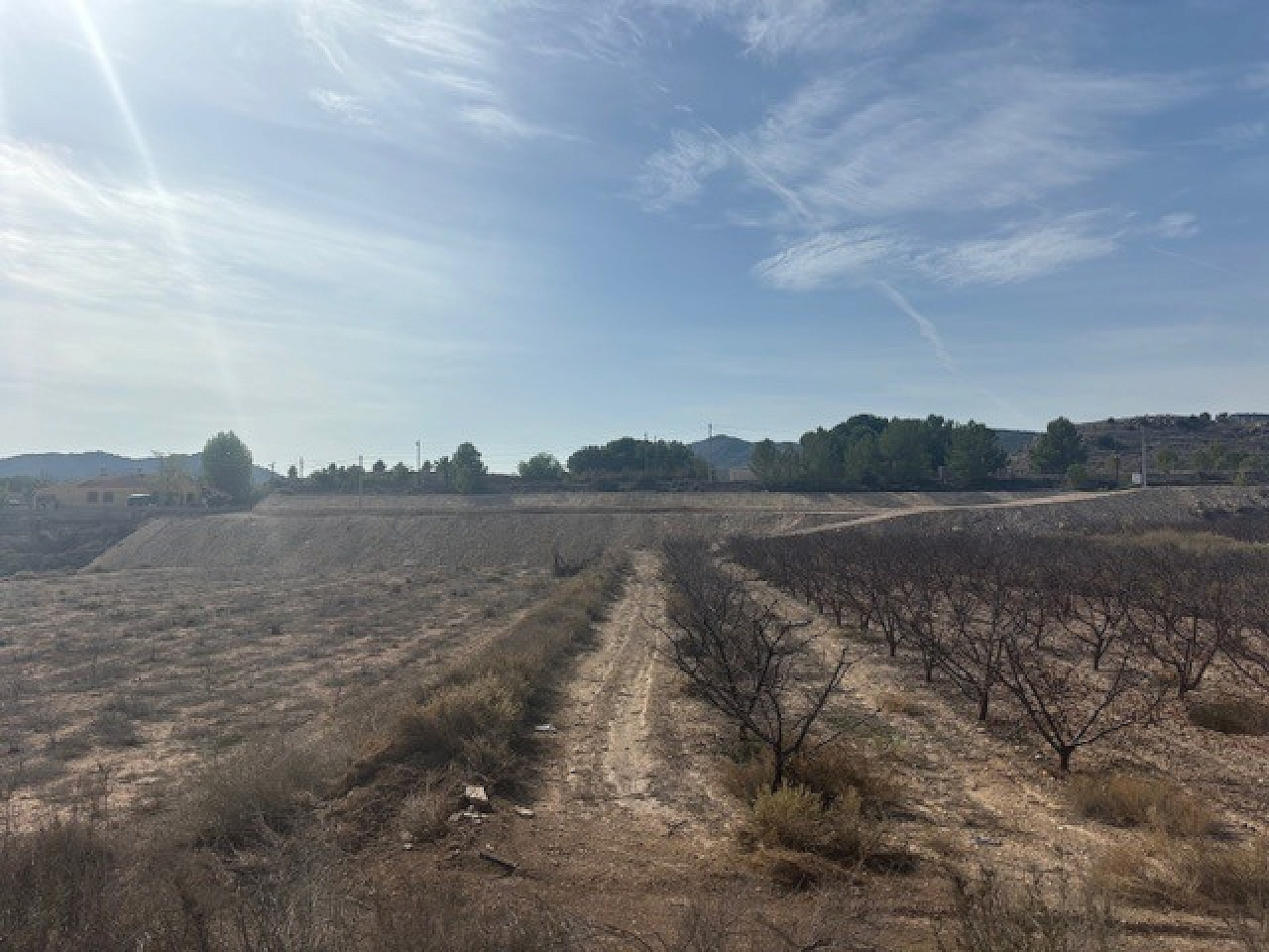 w_58ib60j6oxfbzqb7zmsw-a4130d Land In Monovar, Spain (25.000 M² Plot)
