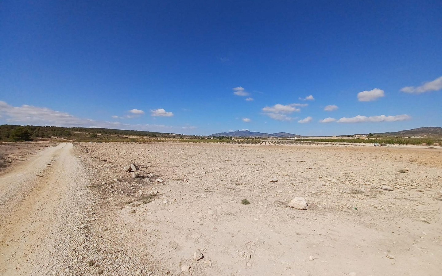 Land In Pinoso, Spain (13.836 M² Plot)