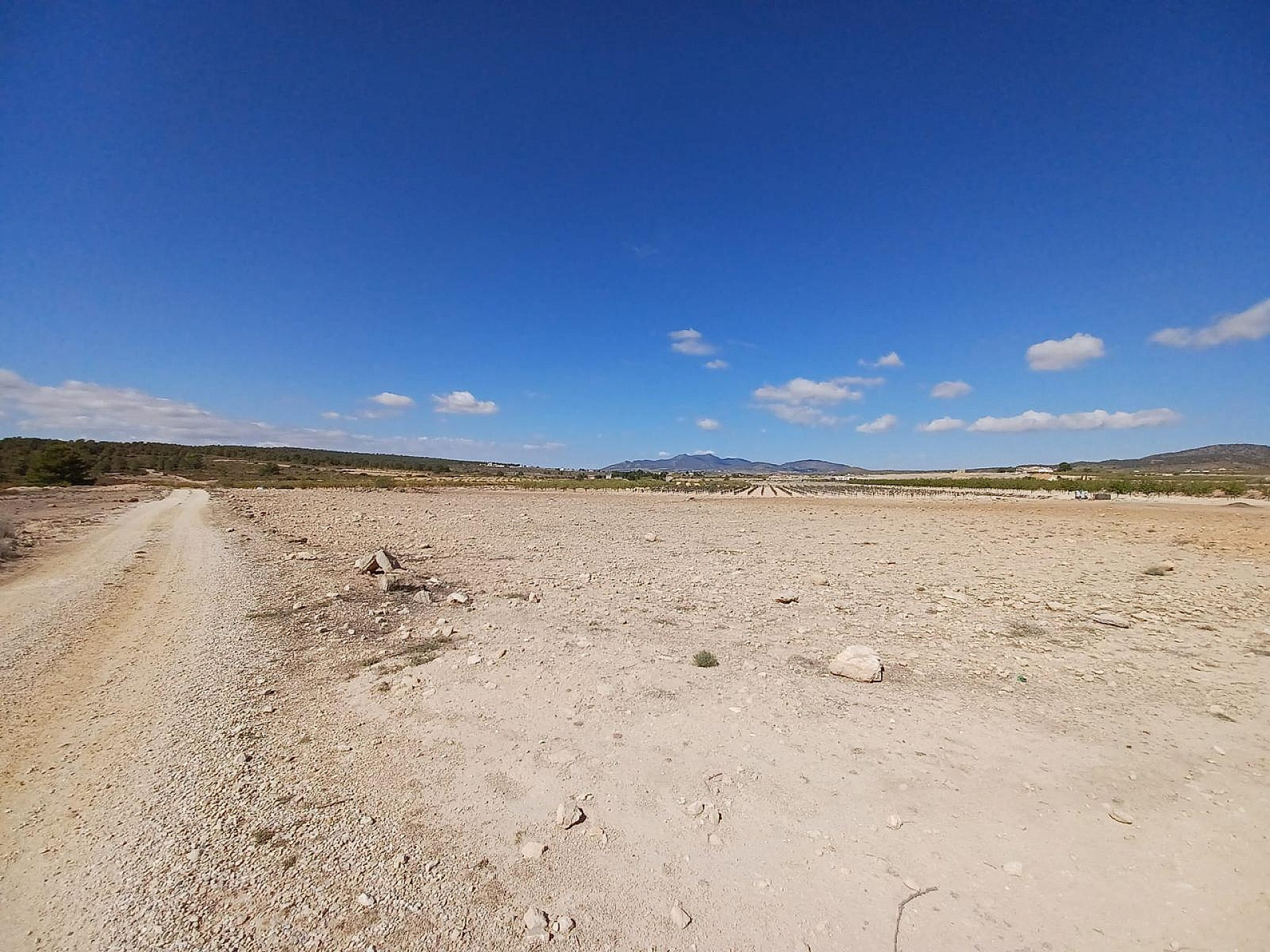 w_5hts6trmiwhtugkb03ju-31e06d Land In Pinoso, Spain (13.836 M² Plot)