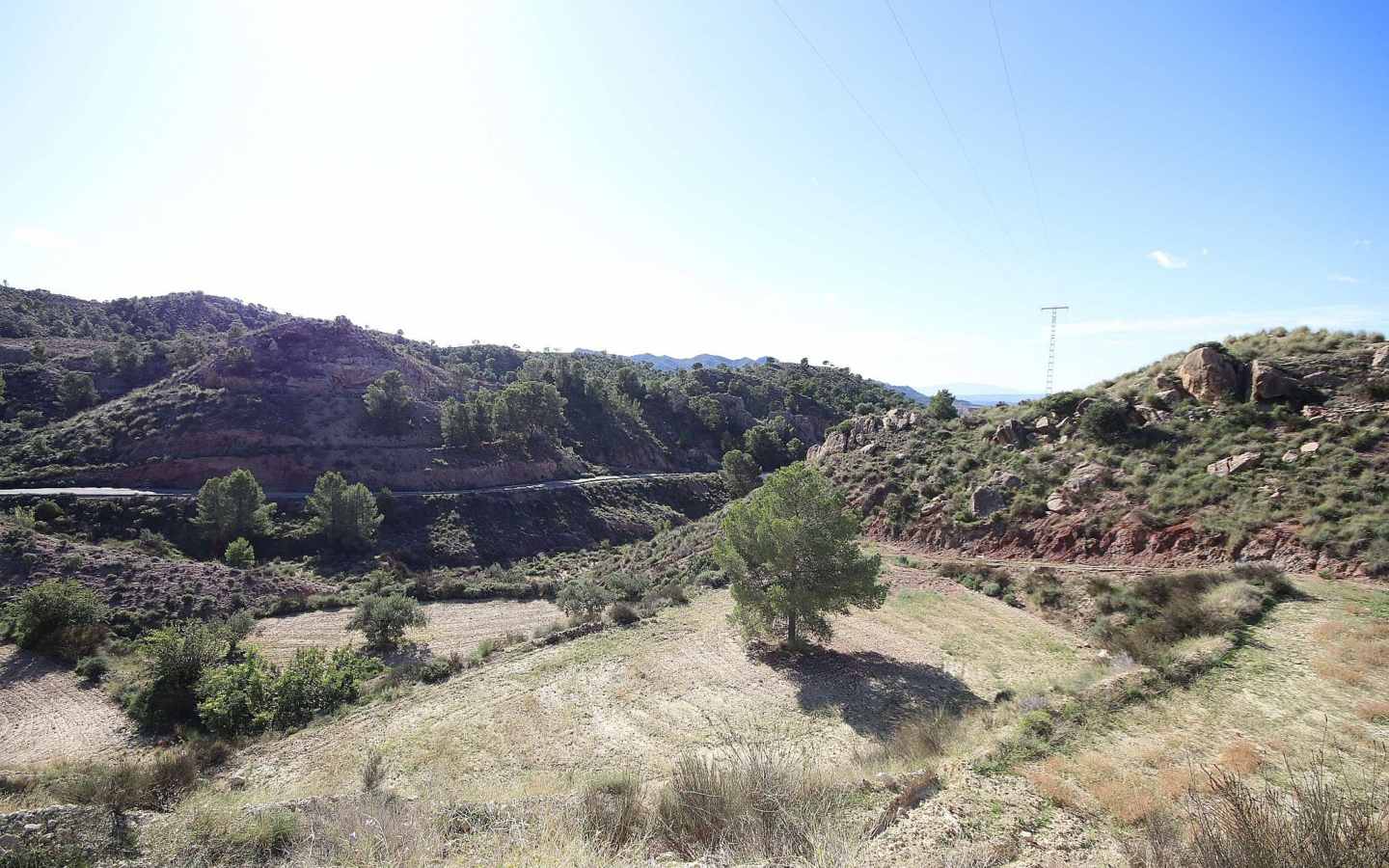 Land In Abanilla, Spain (8.000 M² Plot)