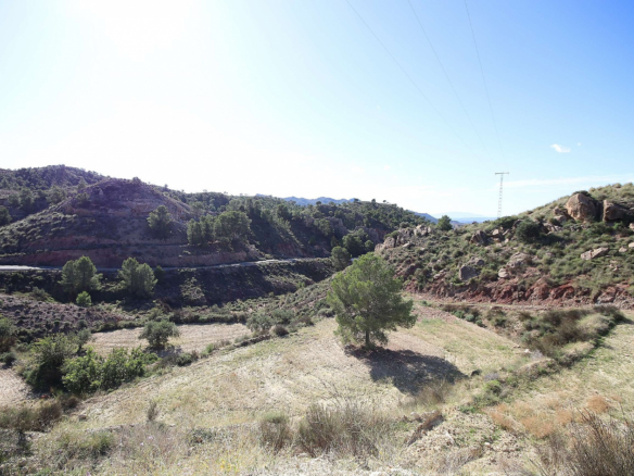 Land In Abanilla, Spain (8.000 M² Plot)
