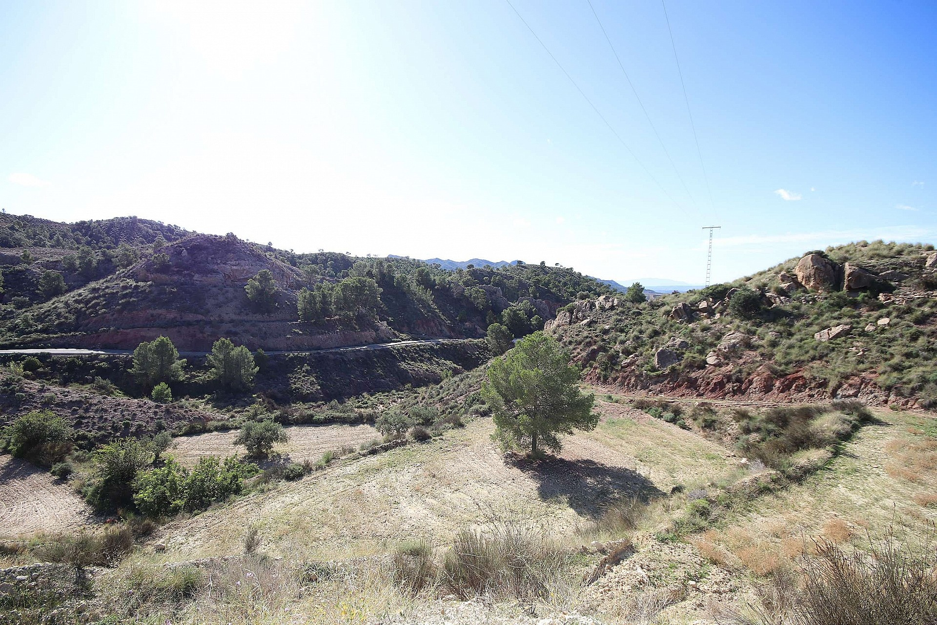 w_5j0ceym5z35wdo2mo5jq-11461f Land In Abanilla, Spain (8.000 M² Plot)
