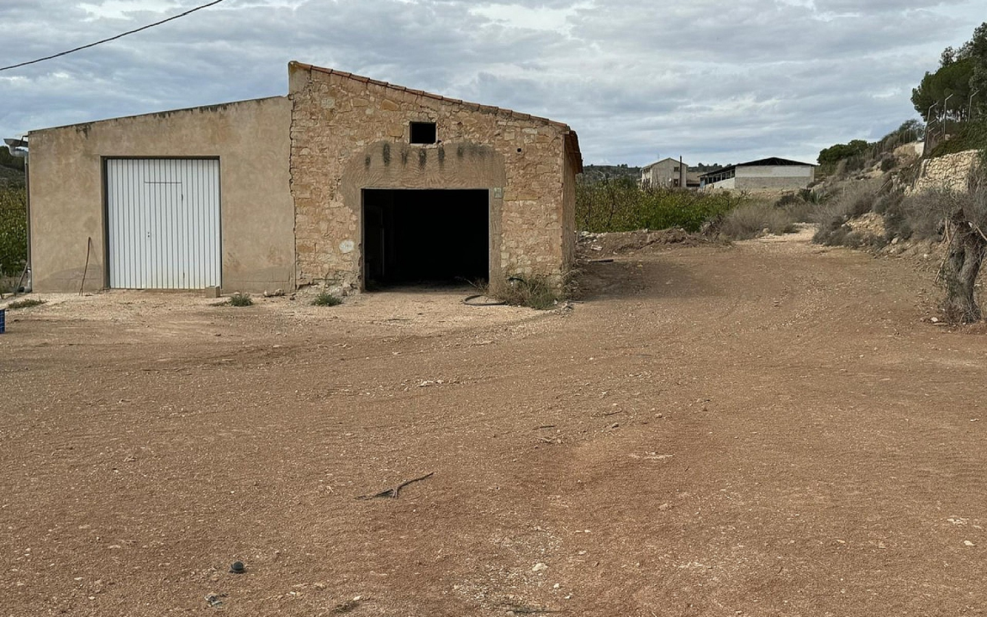 Land In Monovar, Spain (25.000 M² Plot)