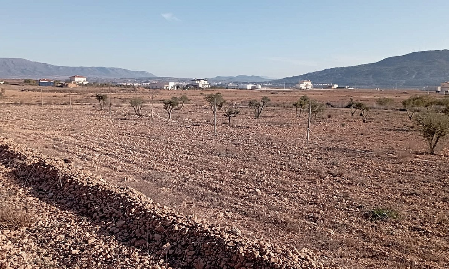 4-bedroom Finca In Pinoso, Spain (120 M²)