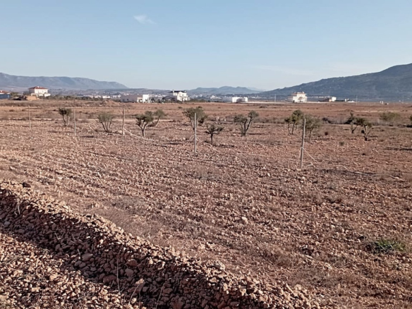 4-bedroom Finca In Pinoso, Spain (120 M²)