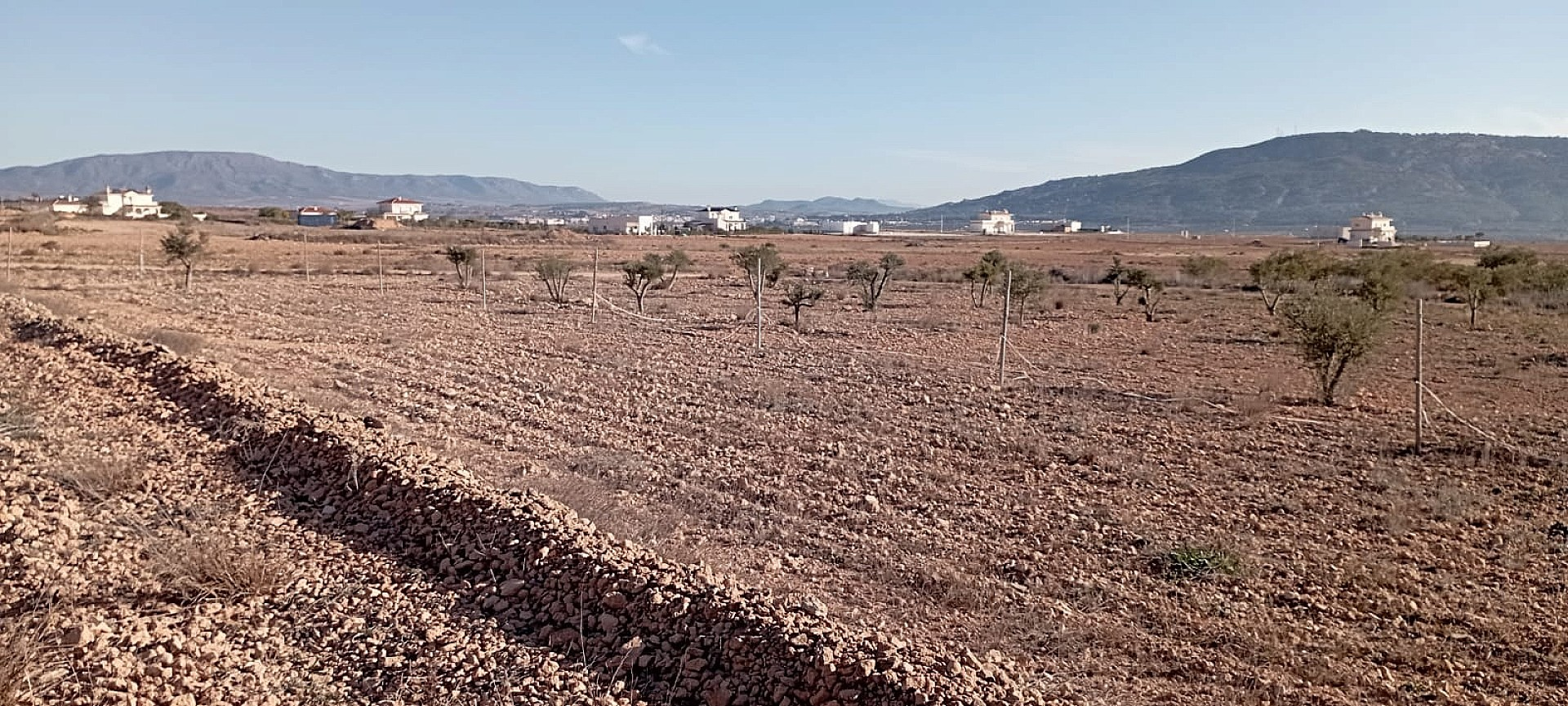 4-bedroom Finca In Pinoso, Spain (120 M²)