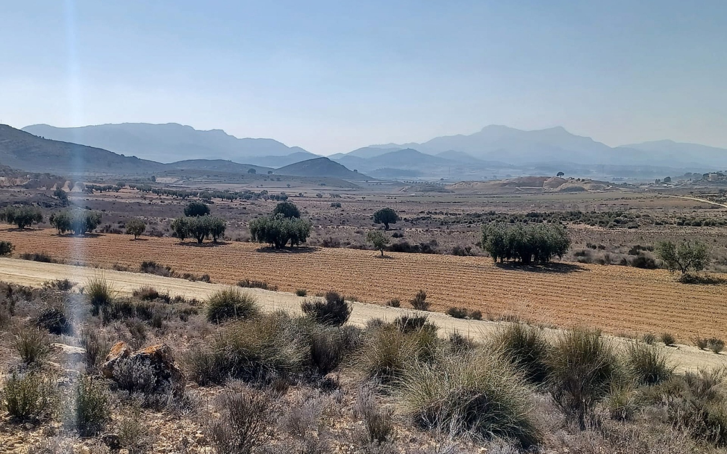 Land In Pinoso, Spain (27.000 M² Plot)