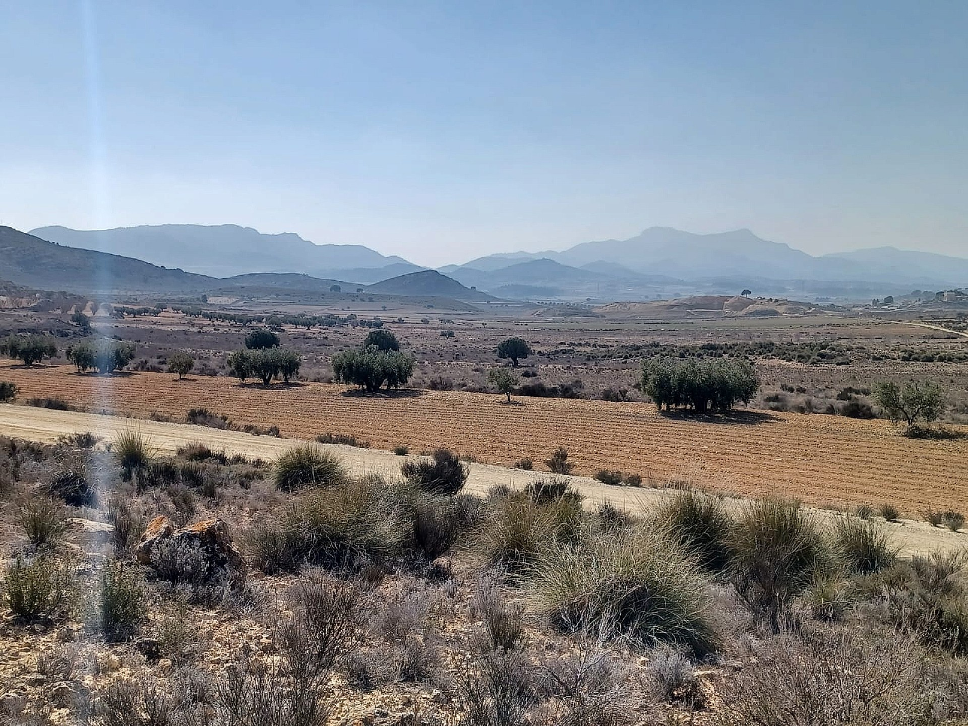 Land In Pinoso, Spain (27.000 M² Plot)