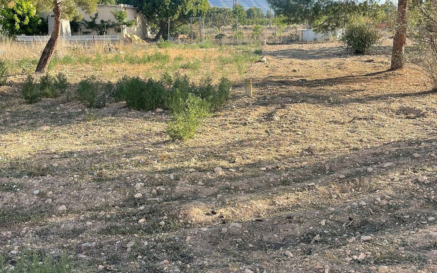 Land In Pinoso, Spain (1.160 M² Plot)