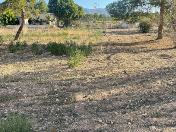 Land In Pinoso, Spain (1.160 M² Plot)