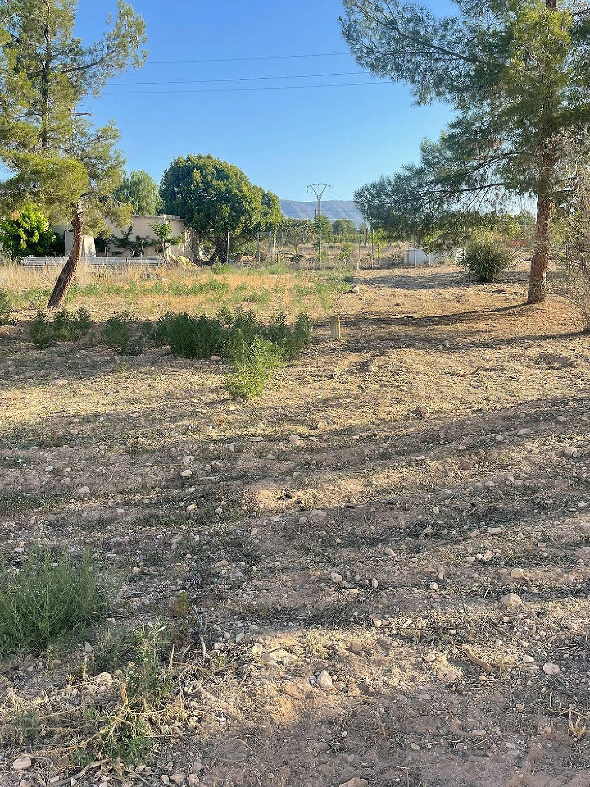 Land In Pinoso, Spain (1.160 M² Plot)