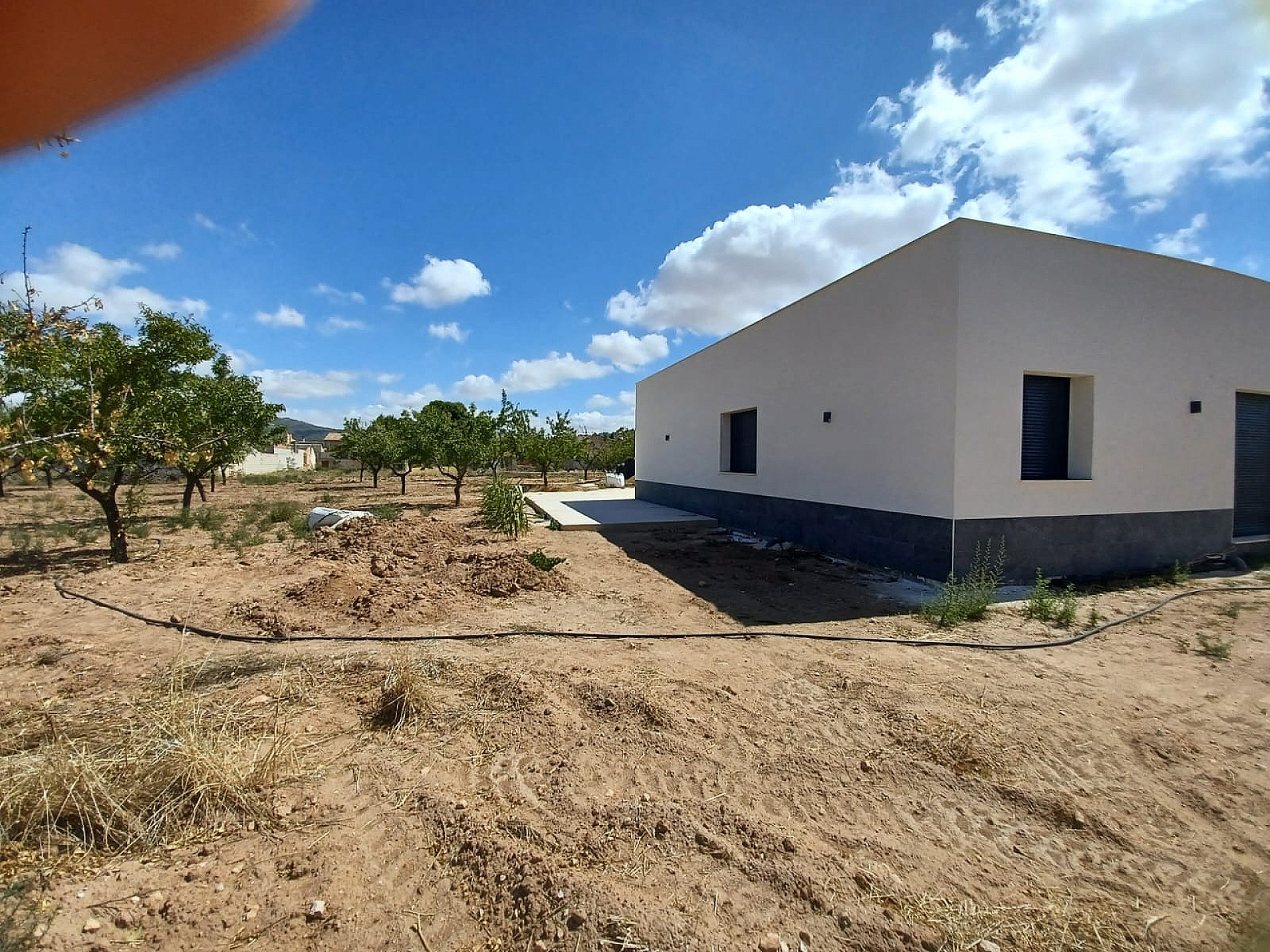 w_6doh730i2vjt5icbh3fy-8ac690 1-bedroom Detached Villa In Pinoso, Spain (26.500 M² Plot)