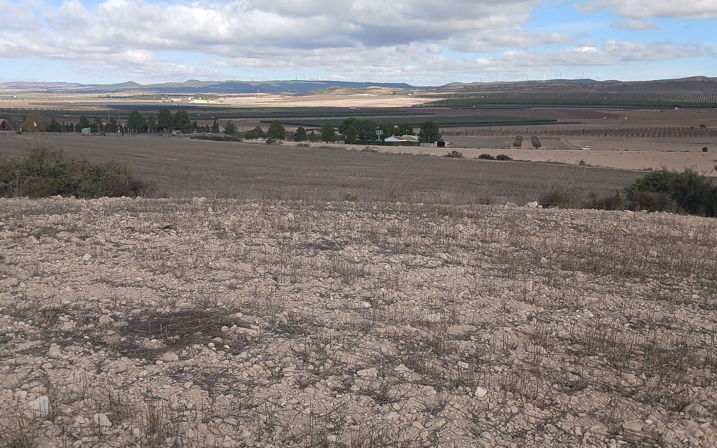 Land In Yecla, Spain (110.312 M² Plot)