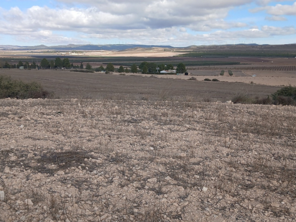 Land In Yecla, Spain (110.312 M² Plot)