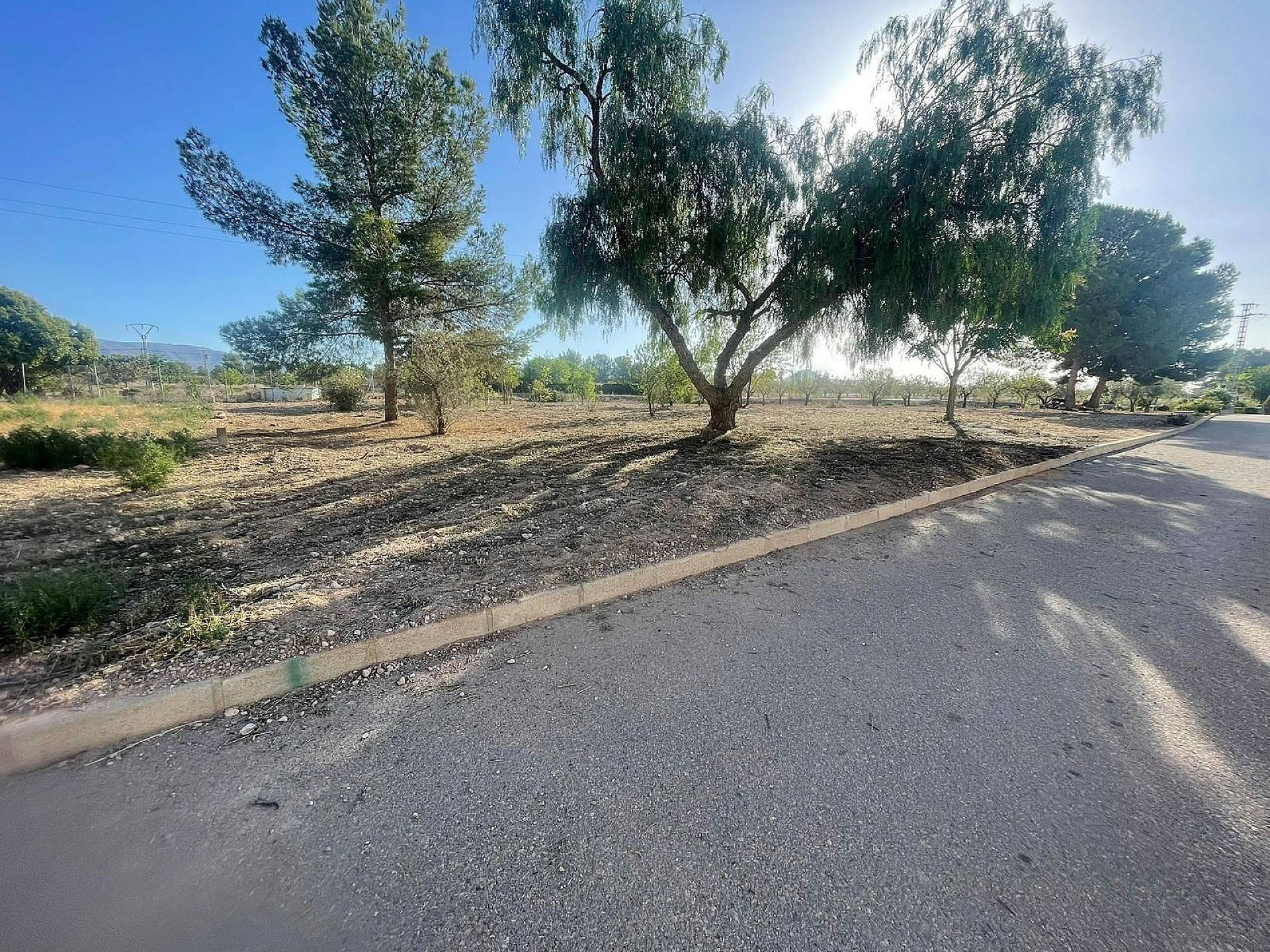 Land In Pinoso, Spain (1.160 M² Plot)